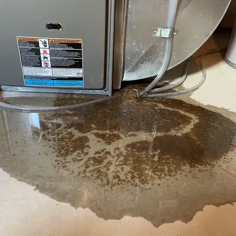 Appliance Leak Cleanup in Nahant, MA